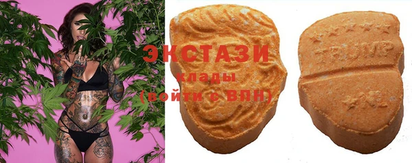 первитин Богданович