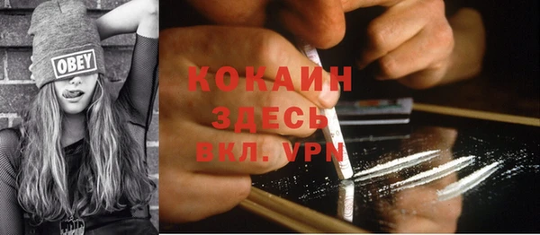 первитин Богданович