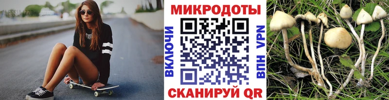Галлюциногенные грибы прущие грибы  купить   даркнет как зайти  Петропавловск-Камчатский 