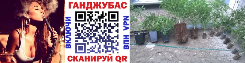 МАРИХУАНА Bruce Banner  Петропавловск-Камчатский 